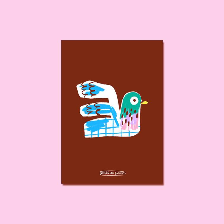 Pigeon