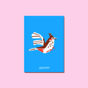 Bulbul à moustache rouge A5